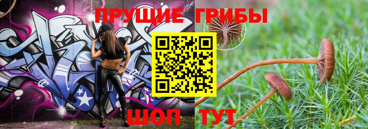 Минусинск  Галлюциногенные грибы GOLDEN TEACHER  Вход с VPN 